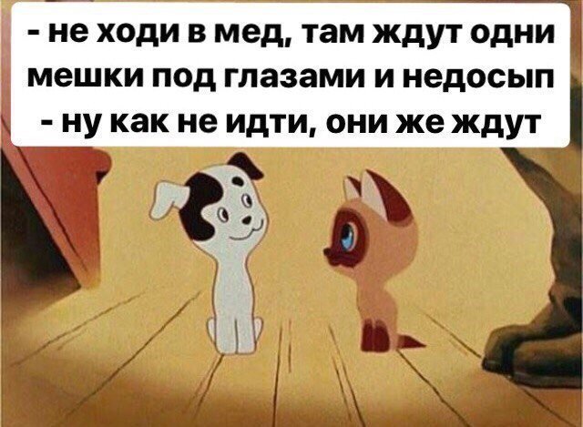 Где лучше бояться. Котенок Гав секретный язык. Доктор Гав Гав. Что советует делать котенку Гав Мудрый черный кот?. Доктор Гав отзывы